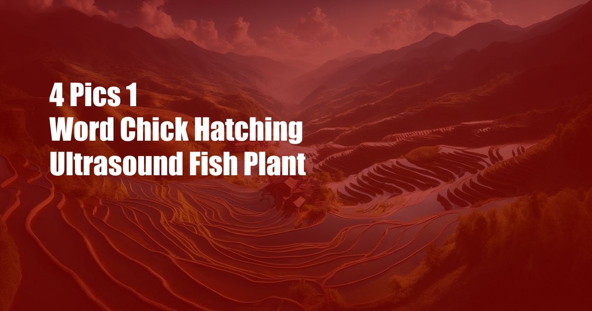 4 Pics 1 Word Chick Hatching Ultrasound Fish Plant