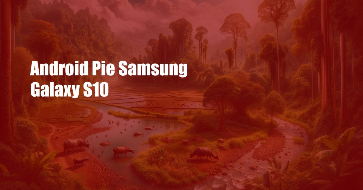 Android Pie Samsung Galaxy S10