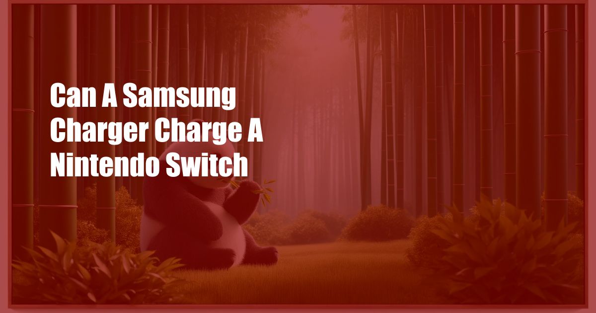 Can A Samsung Charger Charge A Nintendo Switch