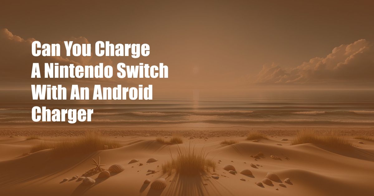 Can You Charge A Nintendo Switch With An Android Charger