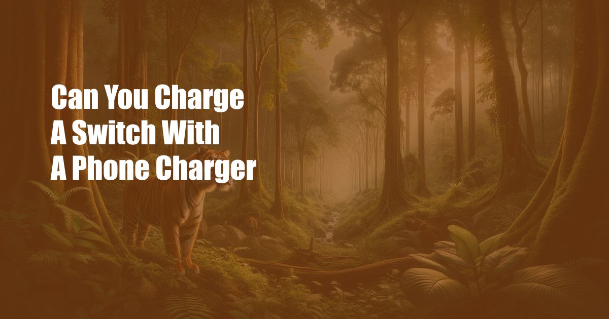 Can You Charge A Switch With A Phone Charger