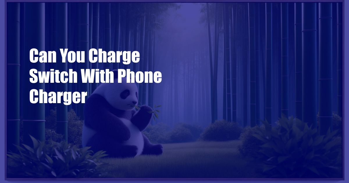 Can You Charge Switch With Phone Charger