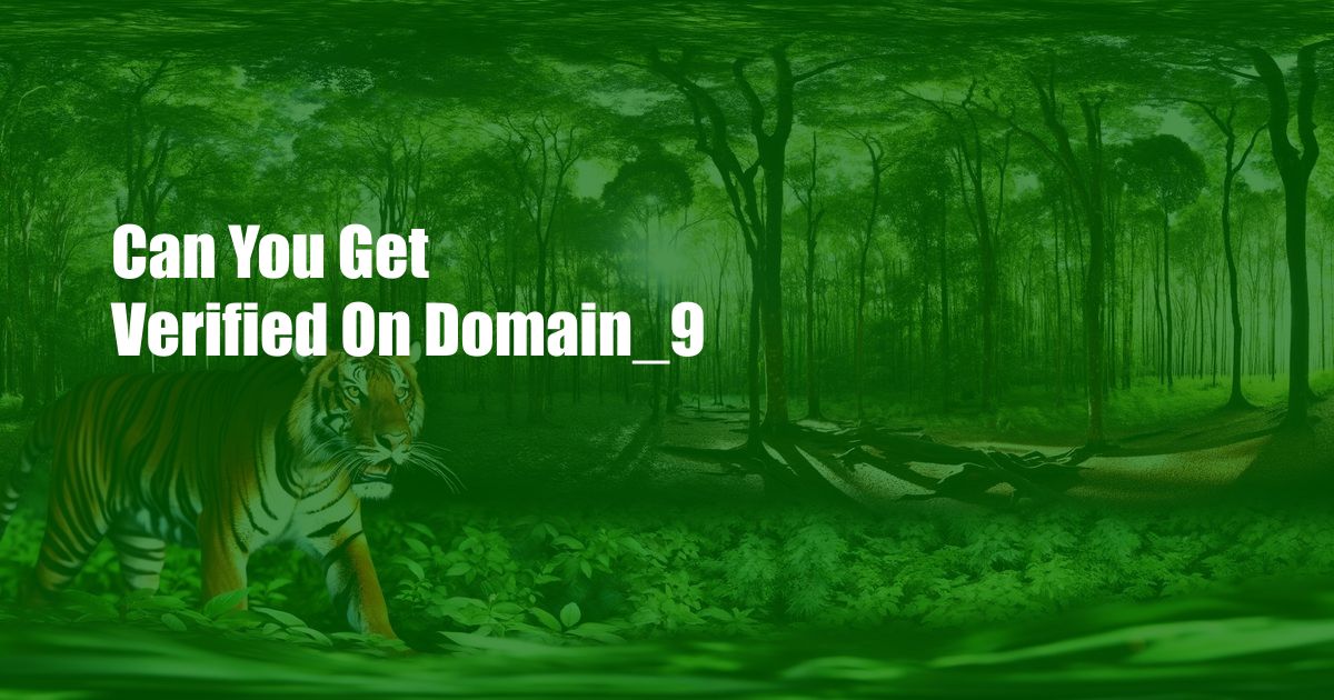 Can You Get Verified On Domain_9