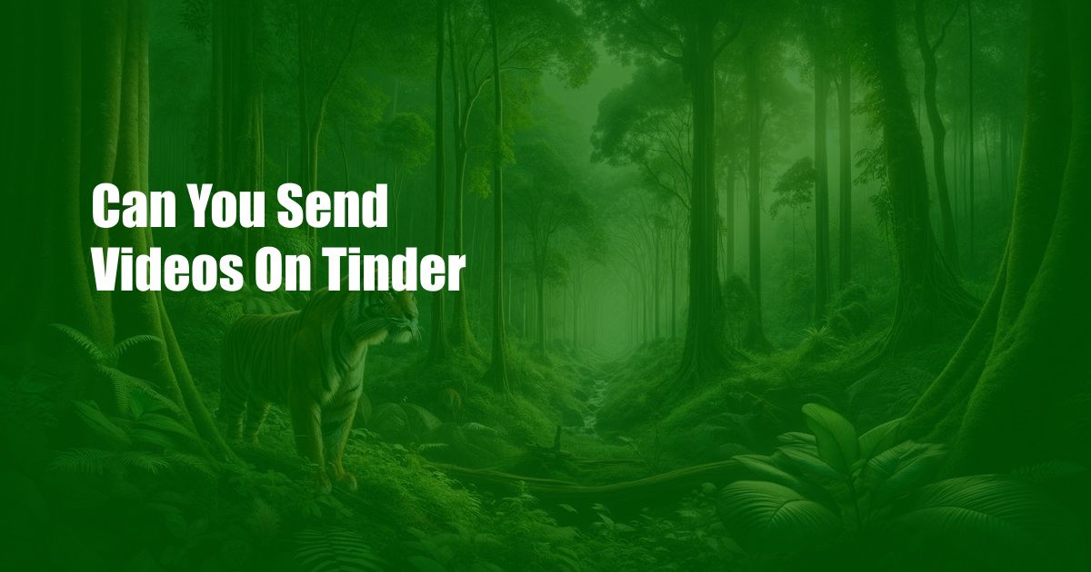 Can You Send Videos On Tinder