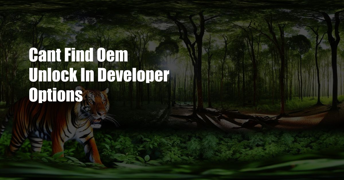 Cant Find Oem Unlock In Developer Options