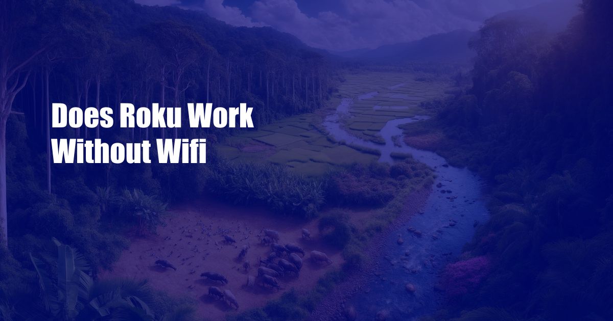 Does Roku Work Without Wifi