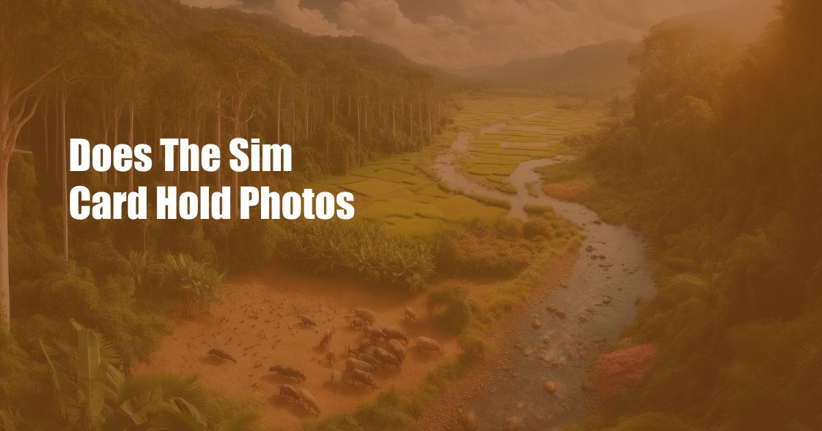 Does The Sim Card Hold Photos