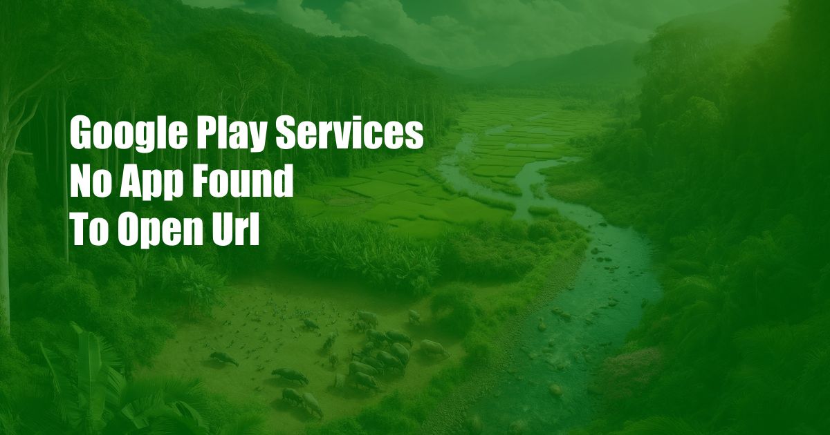 Google Play Services No App Found To Open Url