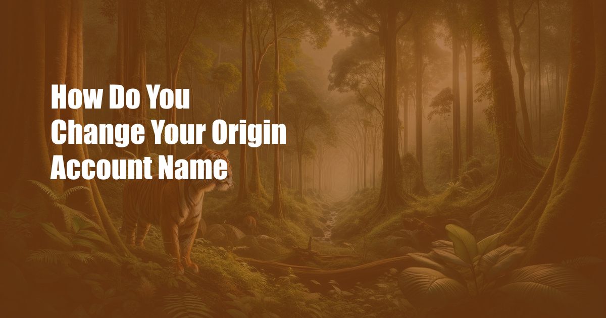How Do You Change Your Origin Account Name