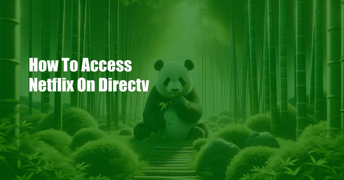 How To Access Netflix On Directv