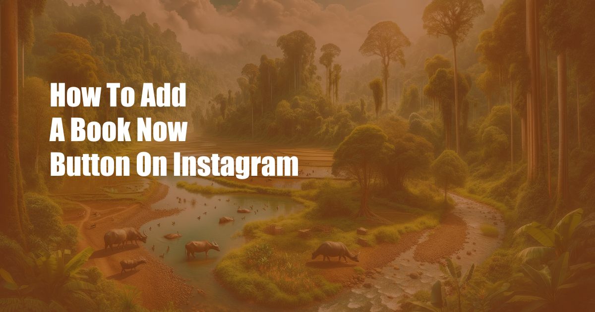 How To Add A Book Now Button On Instagram