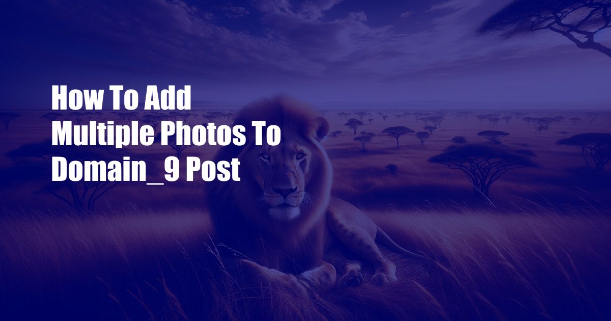 How To Add Multiple Photos To Domain_9 Post