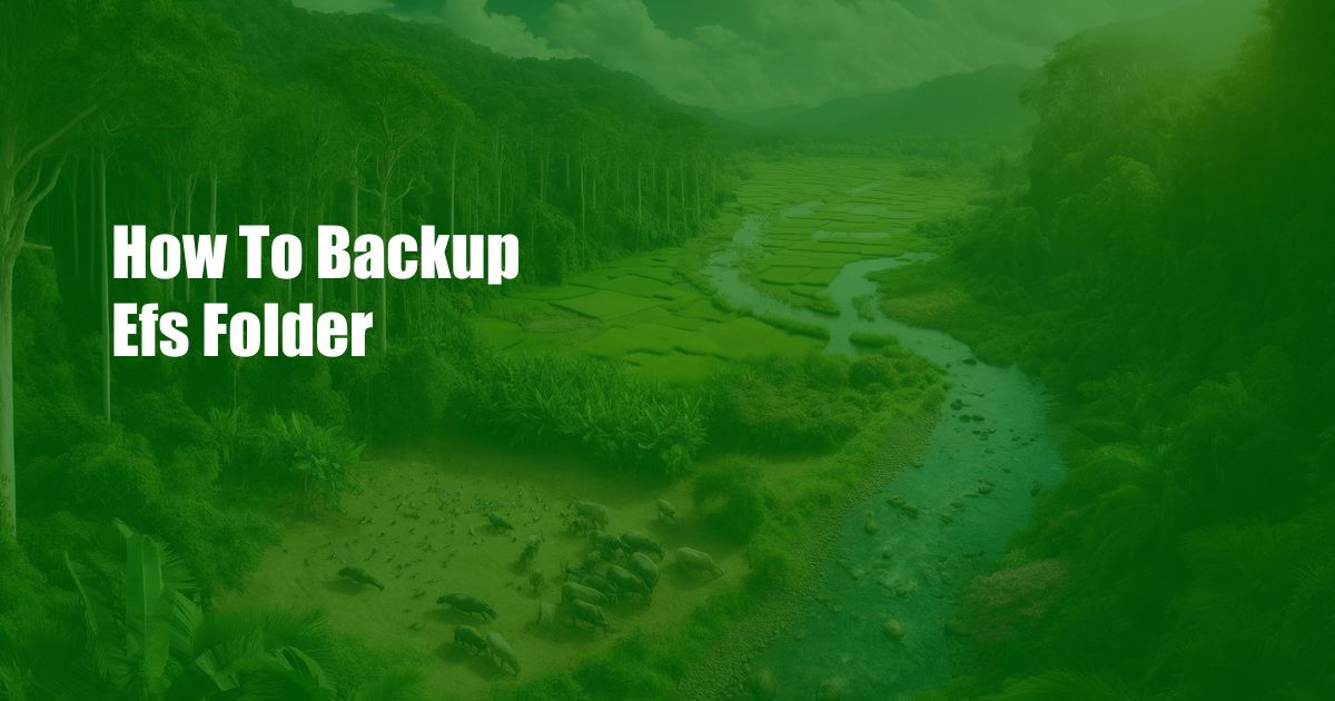How To Backup Efs Folder