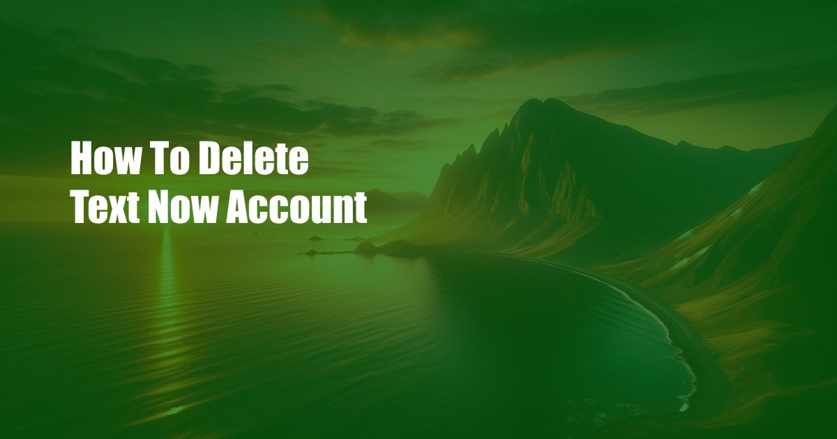How To Delete Text Now Account