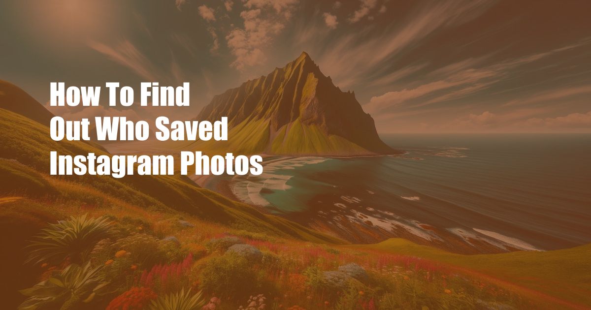 How To Find Out Who Saved Instagram Photos