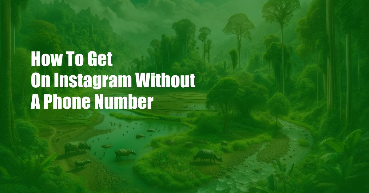 How To Get On Instagram Without A Phone Number