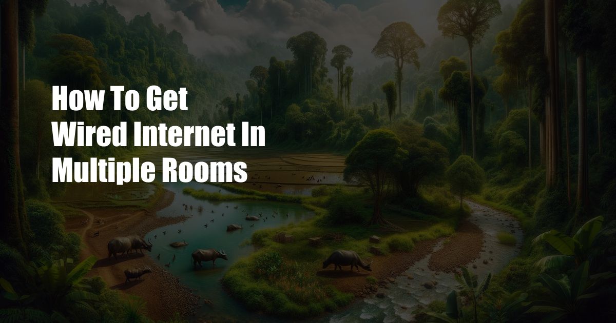 How To Get Wired Internet In Multiple Rooms