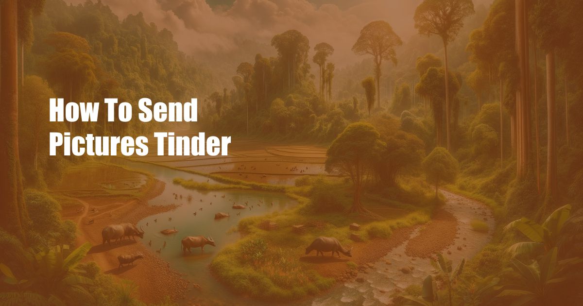 How To Send Pictures Tinder