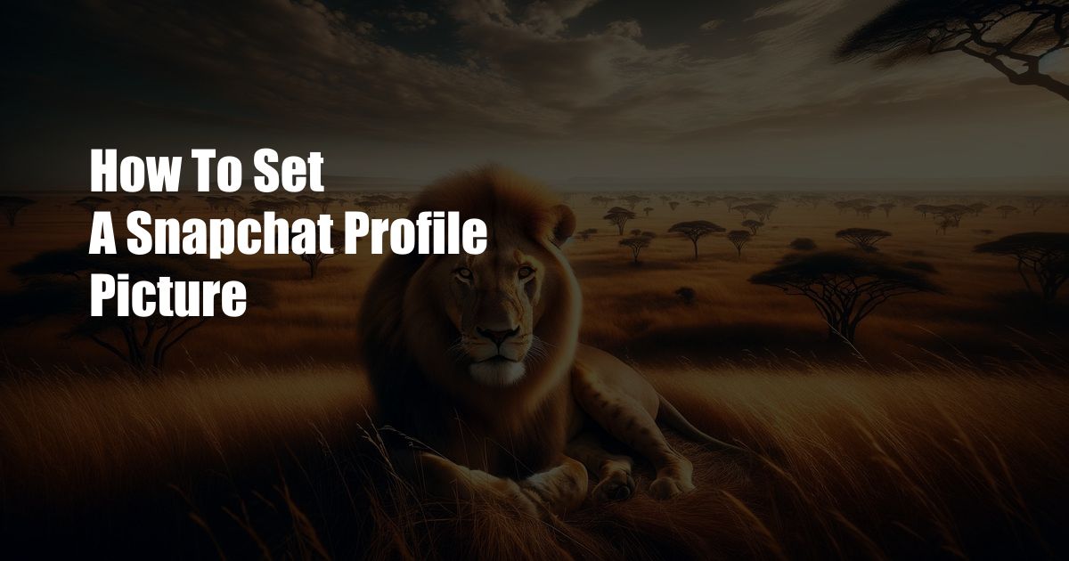 How To Set A Snapchat Profile Picture