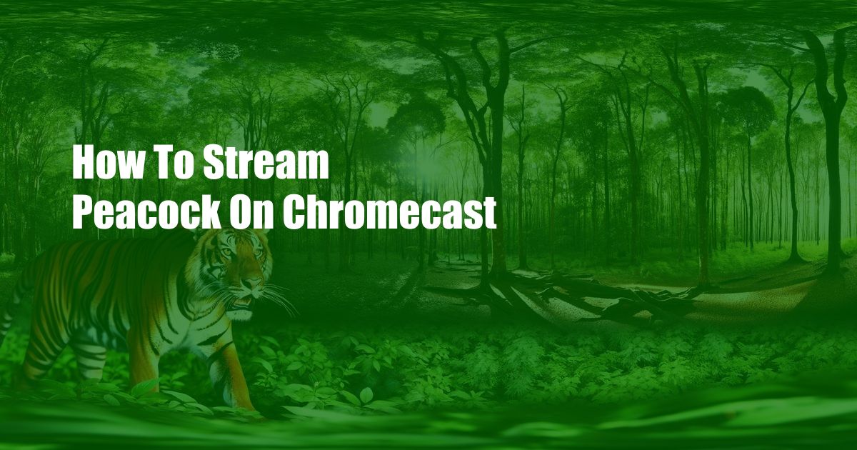 How To Stream Peacock On Chromecast