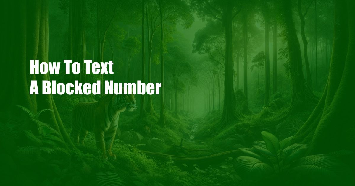 How To Text A Blocked Number