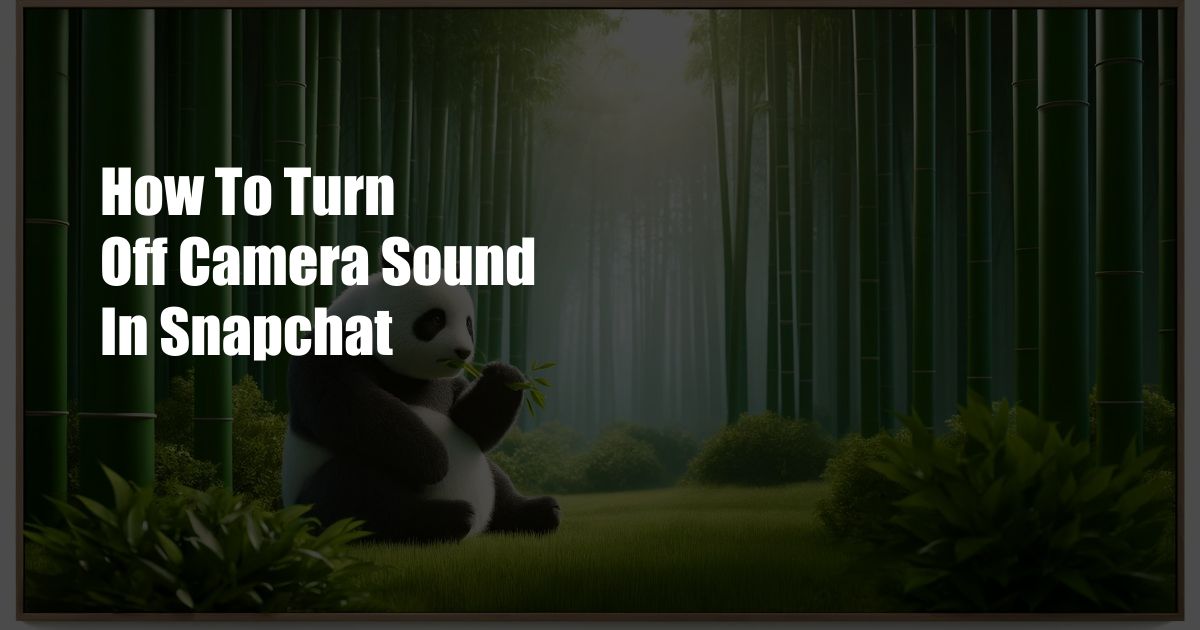 How To Turn Off Camera Sound In Snapchat