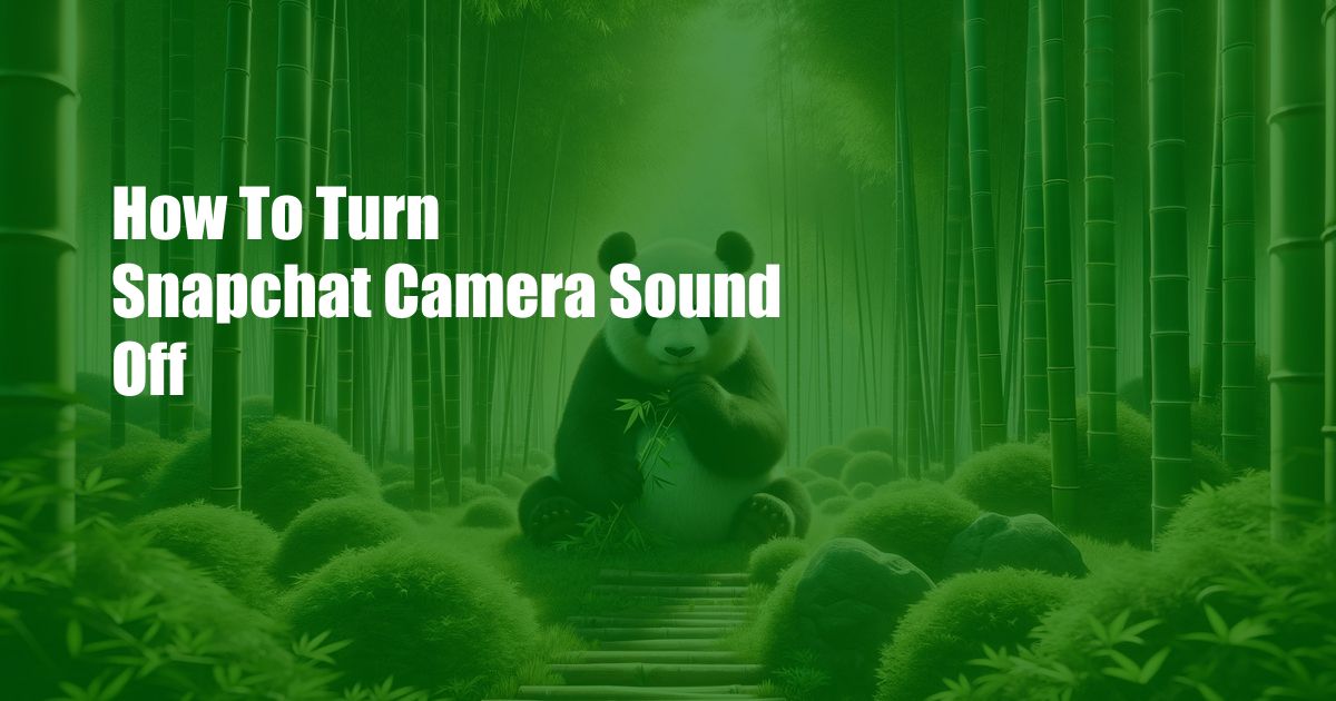 How To Turn Snapchat Camera Sound Off