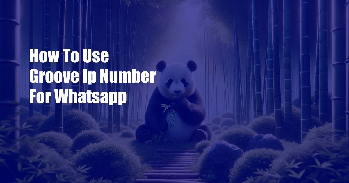 How To Use Groove Ip Number For Whatsapp
