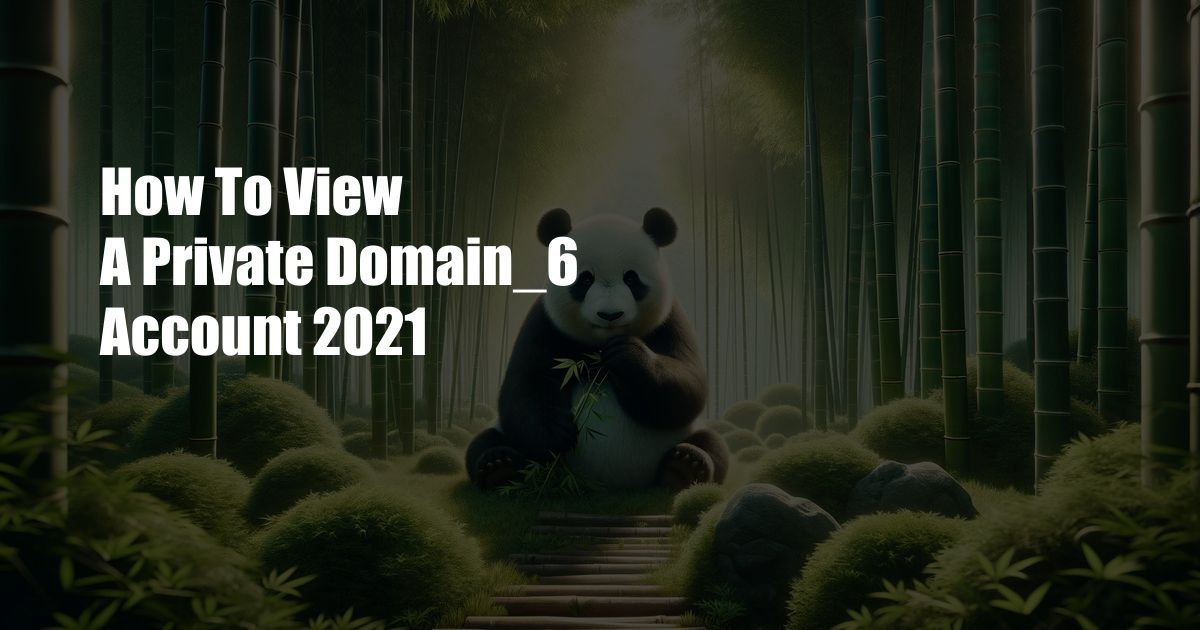 How To View A Private Domain_6 Account 2021