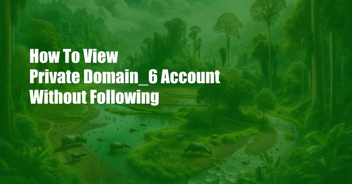 How To View Private Domain_6 Account Without Following