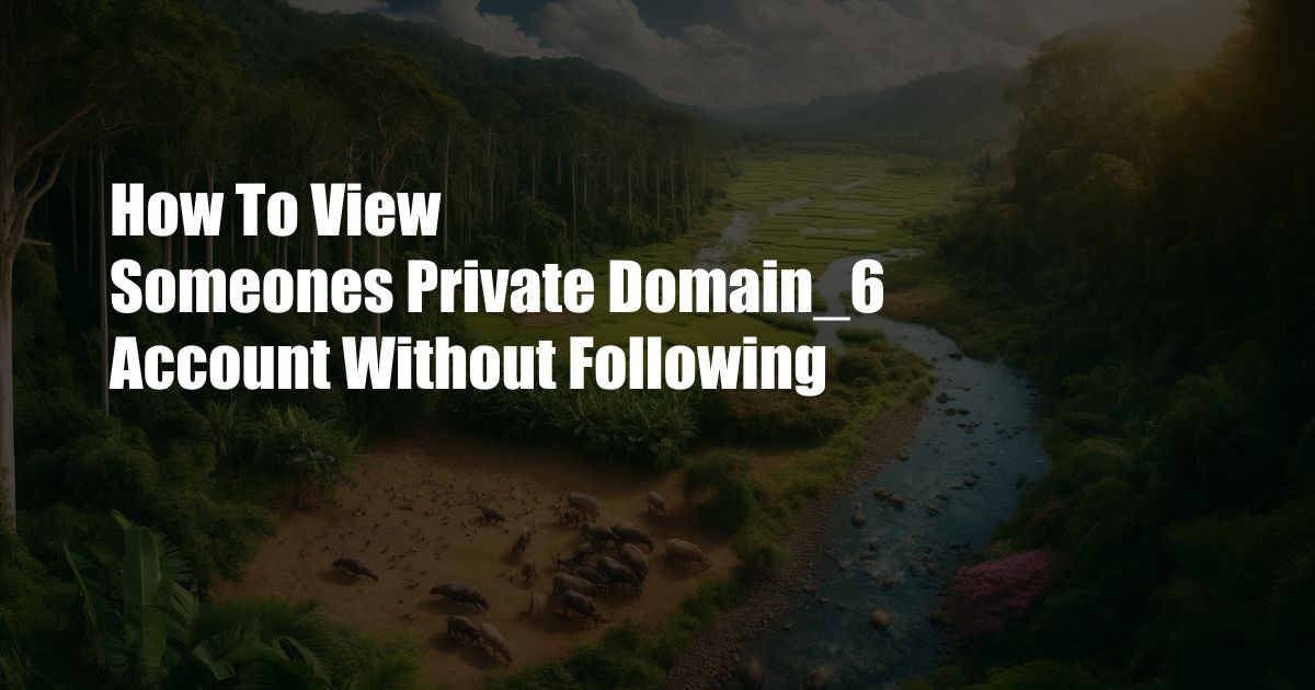 How To View Someones Private Domain_6 Account Without Following