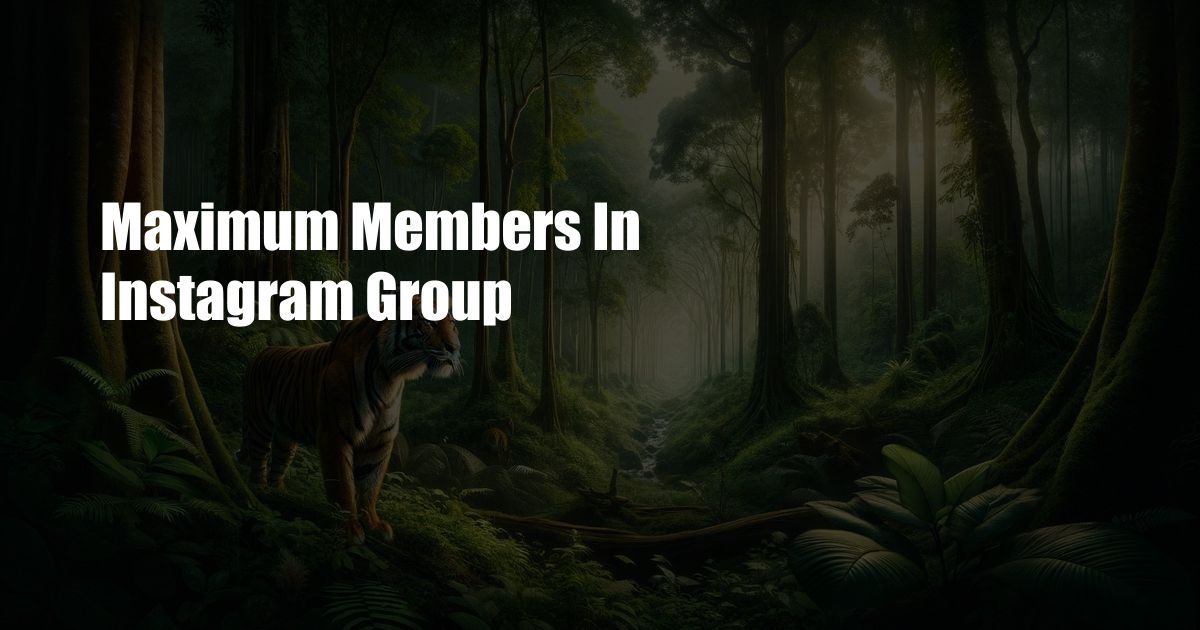 Maximum Members In Instagram Group