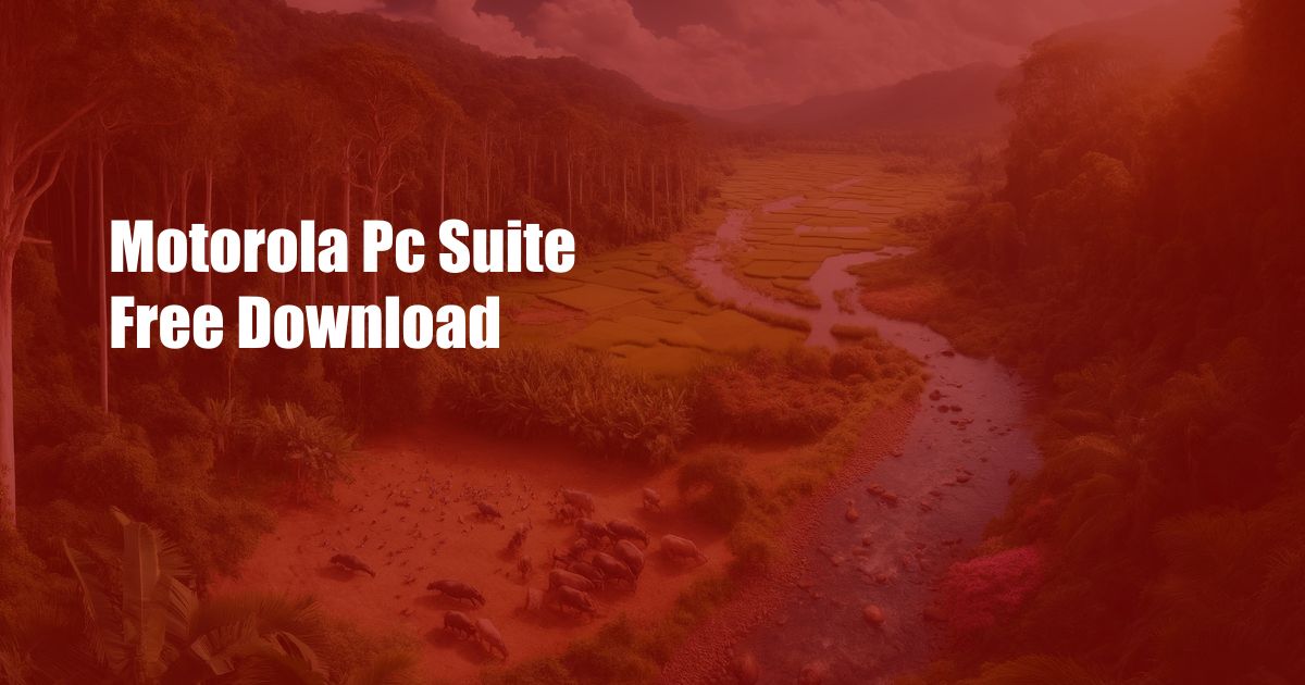 Motorola Pc Suite Free Download