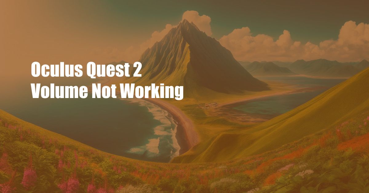 Oculus Quest 2 Volume Not Working
