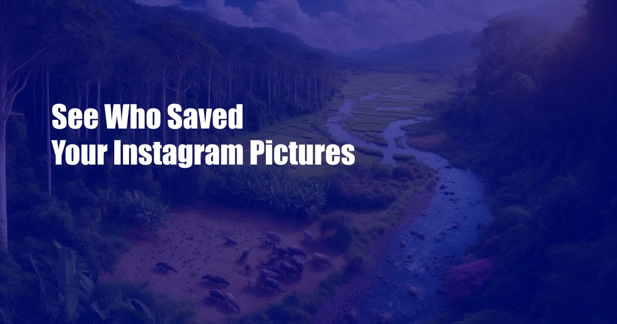 See Who Saved Your Instagram Pictures