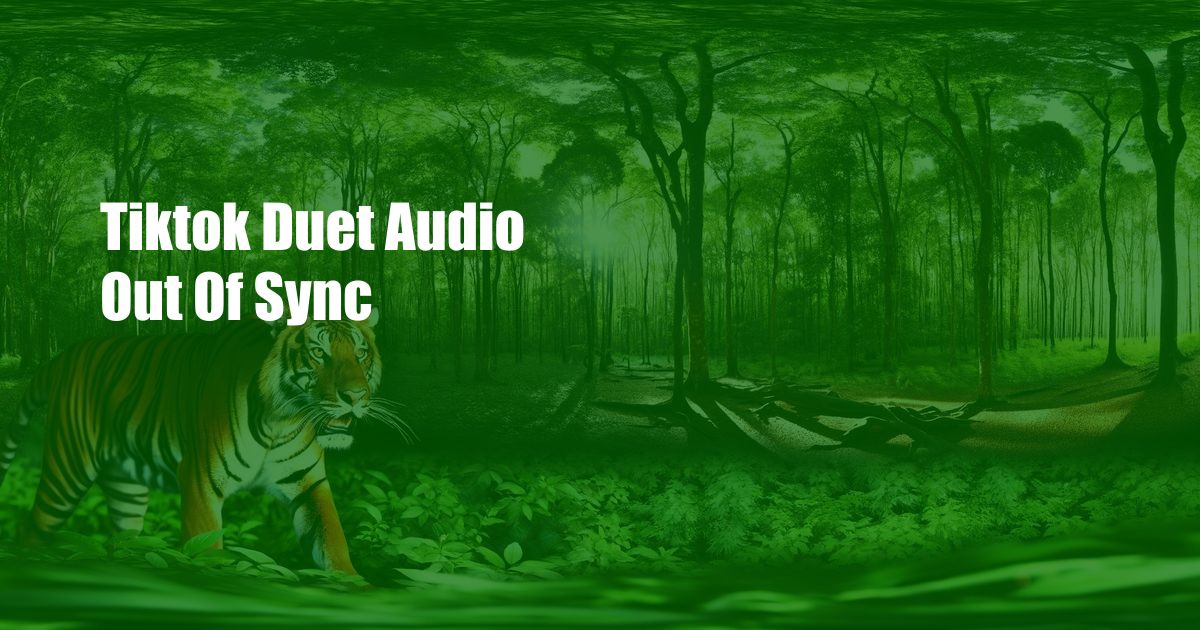 Tiktok Duet Audio Out Of Sync