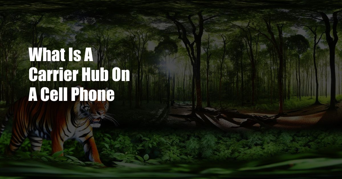 What Is A Carrier Hub On A Cell Phone