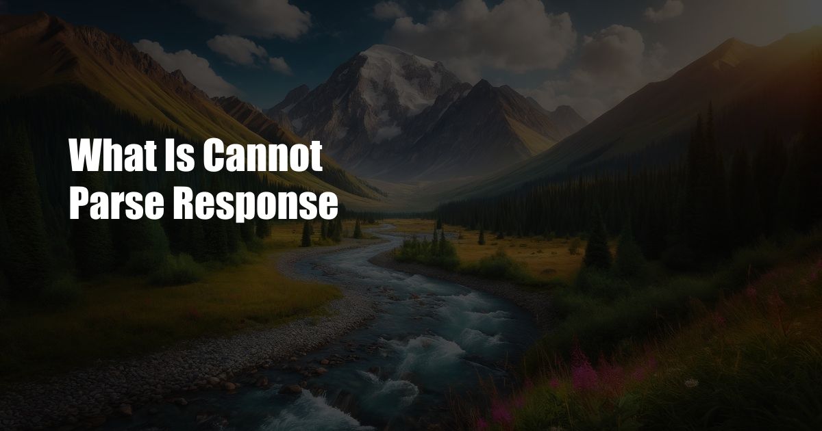 What Is Cannot Parse Response