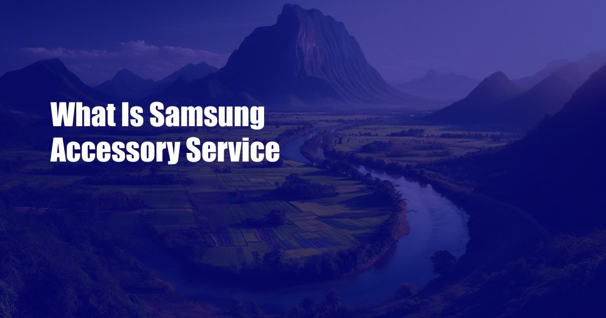 What Is Samsung Accessory Service