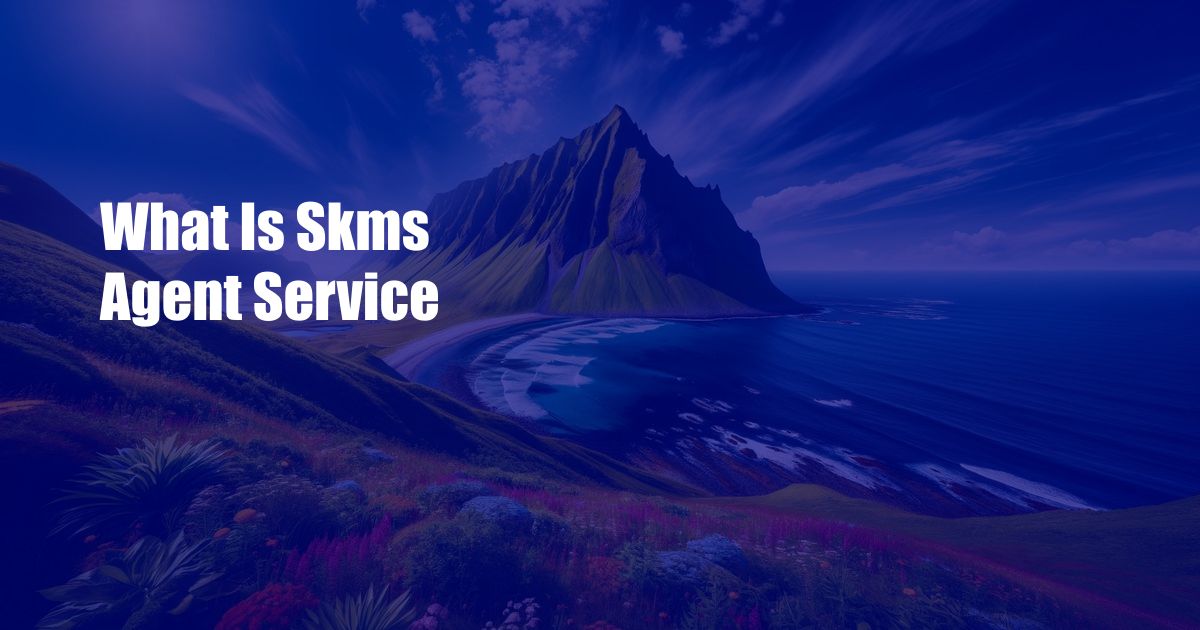 What Is Skms Agent Service